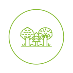 forest icon