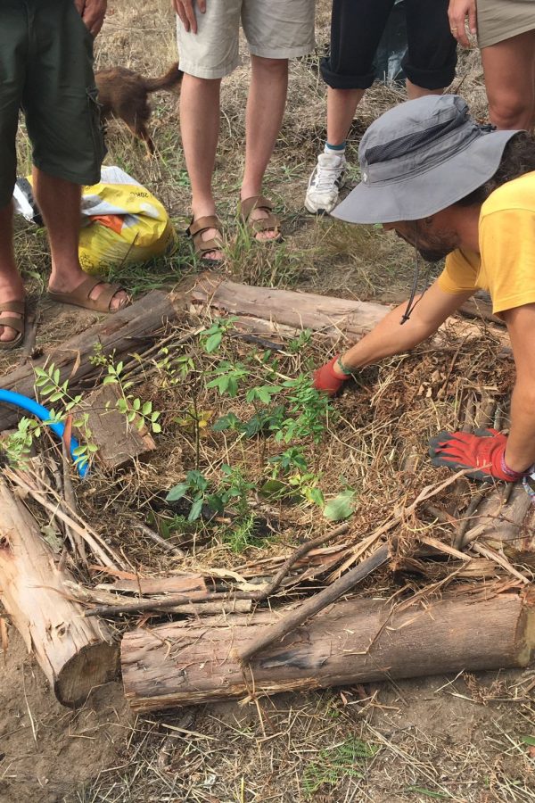 546465876_1198138309009370_7142853546696555764_n